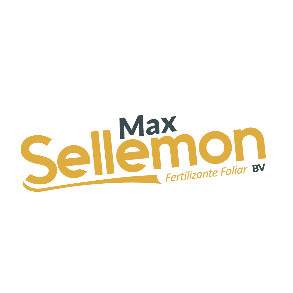 Max Sellemon BV